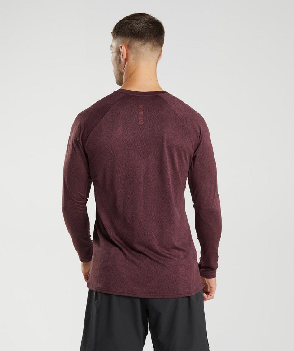 Long Sleeve Gymshark Apex Hombre Rosas Marrones | CO 3498WNB